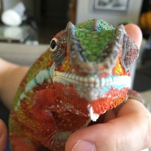 Meet your Posher, Tracy